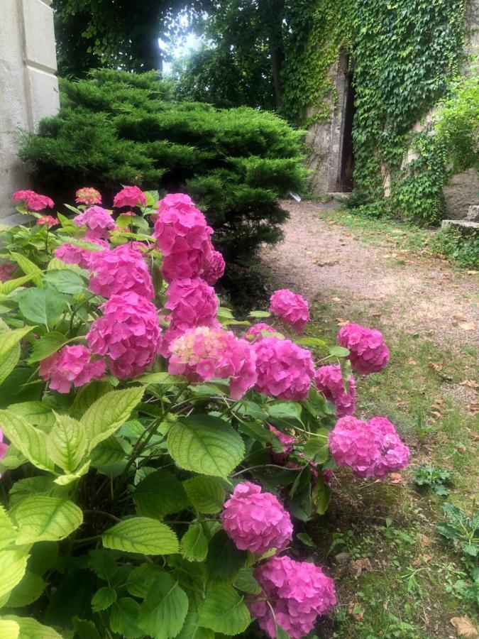 مبيت وإفطار Saint-Gerand-le-Puy Demeure Des Payratons المظهر الخارجي الصورة